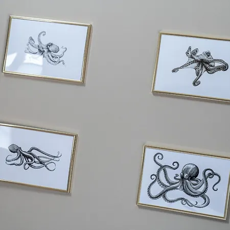 Hummergrund Octopus *