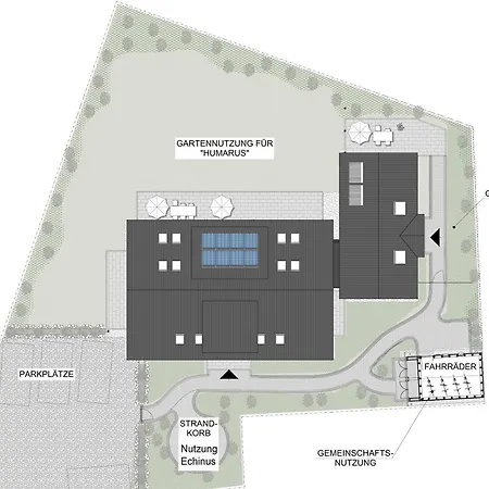 Hummergrund Octopus *