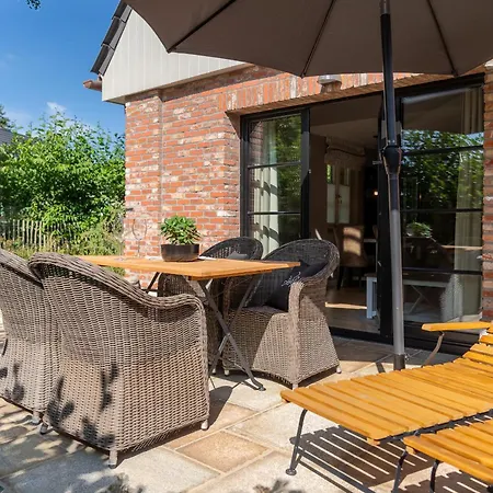 Hummergrund Octopus * Sankt Peter-Ording